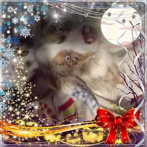 Meet your Posher, Marie